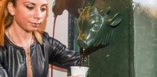 Октябрь 2018 года: впечатления о Турине В Турине 20 и 21 октября на мероприятие «Урожай винограда в Турине - Vendemmia a Torino - Grapes in Town», фонтан "бычок" из которого будет литься вино вместо воды.