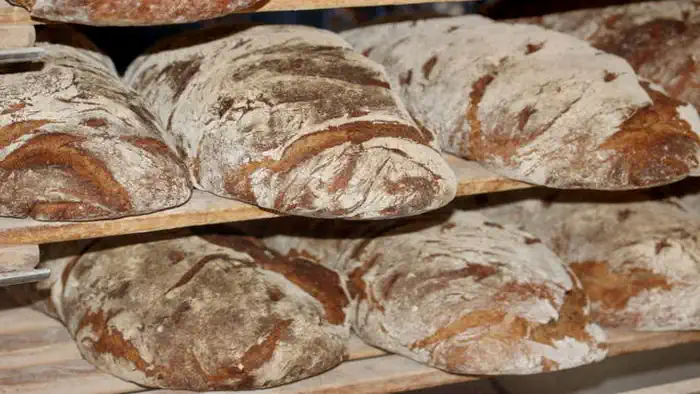 Секрет лучшего итальянского хлеба в Турине и Пьемонте