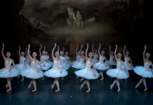 Артисты Санкт-Петербургского балета в Турине. Лебединое озеро в Италии Лебединое озеро в Турине со звездами Санкт-Петербургского балета