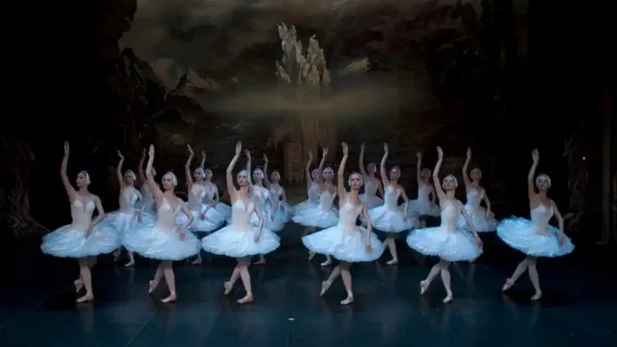 Лебединое озеро в Турине со звездами Санкт-Петербургского балета