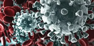 Коронавирус в Италии Что происходило в Турине в феврале 2020 года События Италии февраль 2020 года Начало пандемии в Италии как закрывались магазины отменялись различные мероприятия как остановилась Италия