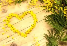 История 8 Марта: Путь к Равноправию и Миру в Италии и не только 8 Марта в Италии и во всем мире, история и курьезы