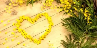 История 8 Марта: Путь к Равноправию и Миру в Италии и не только 8 Марта в Италии и во всем мире, история и курьезы