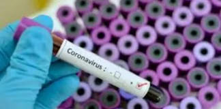 Коронавирус в Пьемонте первые жертвы Коронавирус в Пьемонте: Печальная отметка в 25 жертв В Пьемонте наступили тяжелые времена из-за распространения COVID-19. По состоянию на утро 12 марта 2020 года, регион столкнулся с увеличением числа жертв: за сутки скончались пять человек, среди которых три мужчины из Алессандрии, Козенцы и Турина, а также две женщины из Турина и Кунео. Общее количество подтвержденных случаев инфекции в регионе достигло 580, с наибольшим числом заболевших в Турине (187 случаев), за ним следуют Асти (69) и Алессандрия (132). Пациенты, нуждающиеся в интенсивной терапии, составляют 97 человек, тогда как 368 человек находятся в других отделениях, и 89 – лечатся на дому. Регион прилагает усилия для информирования населения и медицинских работников о ситуации, в том числе через создание специализированного раздела на веб-сайте Регионального совета Пьемонта. Этот раздел содержит документацию, выпущенную медицинскими учреждениями, а также научные статьи и материалы от ведущих международных медицинских журналов по COVID-19, доступные всем заинтересованным. Виртуальная библиотека для здравоохранения Пьемонта (BVS-P) с 2010 года предоставляет доступ к электронным журналам и базам данных для специалистов в области здравоохранения региона. Цель библиотеки – способствовать продвижению доказательной медицины и поддержке исследовательских и образовательных усилий медицинских работников, что в свою очередь влияет на качество лечения, независимость в оценке медицинских продуктов и знании инноваций в терапии. Коронавирус изменил жизнь итальянцев в Турине и Пьемонте, поставив перед обществом и медицинским сообществом беспрецедентные вызовы. Важность доступа к актуальной и проверенной информации в борьбе с пандемией не может быть переоценена.