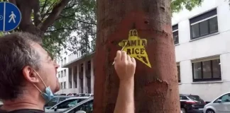 Четыре черных звезды в Турине в память о Джорже Флойде Италия память Джоржа Флойда Турин