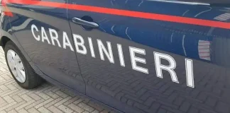 Куда приводят мечты сиделок в Италии Сиделка обманула работодателя в Турине