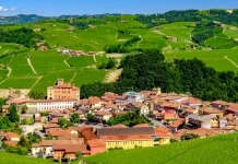 Осенняя красота Пьемонта Праздник Цвета, Вкуса и Традиции Замки между лесными, ореховыми рощами красота Пьемонта осенью