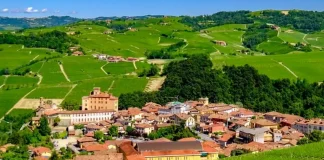 Осенняя красота Пьемонта Праздник Цвета, Вкуса и Традиции Замки между лесными, ореховыми рощами красота Пьемонта осенью