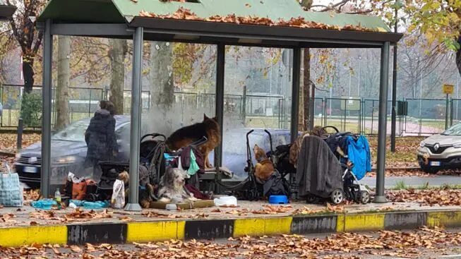 В Турине расчищена трамвайная остановка, на которой бездомная женщина жила 2 года с 5 собаками