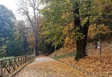 Парки Турина Ваш Путеводитель по Зеленым Уголкам Рая Проведите незабываемый день на природе в лучших парках Турина: от парка Валентино до Суперга. Планируйте ваш идеальный отдых на открытом воздухе с нашим гидом по самым красивым местам природы Турина.