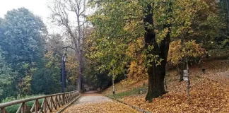 Парки Турина Ваш Путеводитель по Зеленым Уголкам Рая Проведите незабываемый день на природе в лучших парках Турина: от парка Валентино до Суперга. Планируйте ваш идеальный отдых на открытом воздухе с нашим гидом по самым красивым местам природы Турина.