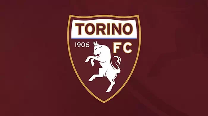 Футбольный клуб «Торино»