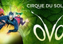 Цирк дю Солей возвращается в Турин в 2023 году с захватывающим шоу OVO Цирк дю Солей в Турине в 2023