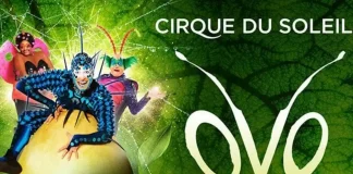 Цирк дю Солей возвращается в Турин в 2023 году с захватывающим шоу OVO Цирк дю Солей в Турине в 2023