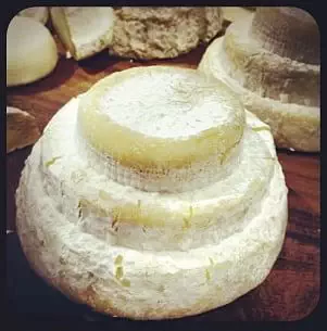 Монтебор — пьемонтский сыр, производится из коровьего и овечьего молока