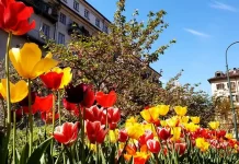 Встречаем весну в Турине в марте 2023: Гид по мероприятиям и празднованию Дня женщин Турин в марте 2023, все события столицы Пьемонта