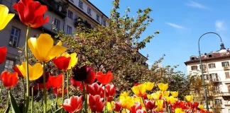 Встречаем весну в Турине в марте 2023: Гид по мероприятиям и празднованию Дня женщин Турин в марте 2023, все события столицы Пьемонта