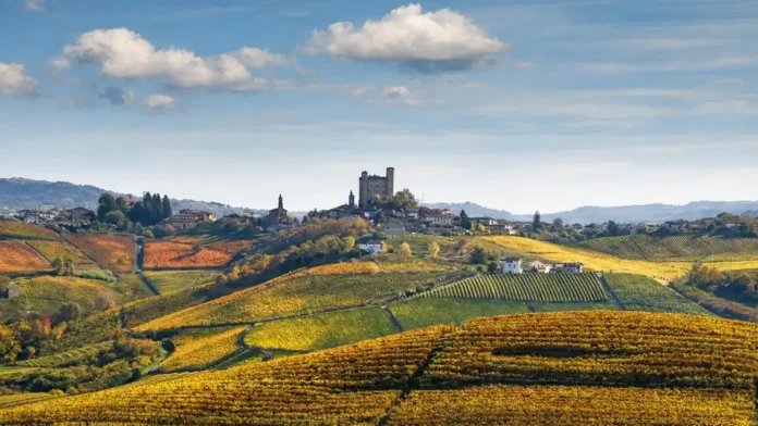 Откройте для себя Ланге и Роэро: Путеводитель по сокровищам Пьемонта