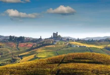 Откройте для себя Ланге и Роэро: Путеводитель по сокровищам Пьемонта Откройте для себя Ланге и Роэро: Путеводитель по сокровищам Пьемонта