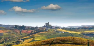 Откройте для себя Ланге и Роэро: Путеводитель по сокровищам Пьемонта Откройте для себя Ланге и Роэро: Путеводитель по сокровищам Пьемонта