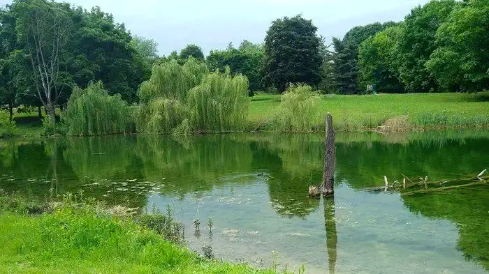 Откройте для себя Parco della Pellerina: Уникальный природный парк в центре Турина