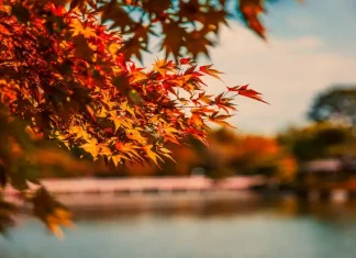 Все, что нужно знать о событиях в Турине в октябре 2023: культура, искусство и развлечения Турин октябрь 2023, OKТЯБРЬСКИЕ мероприятия в Турине