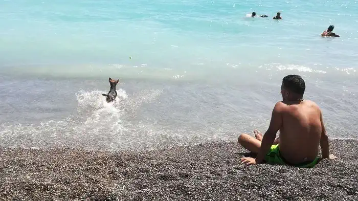 Пляж для собак в Бордигере