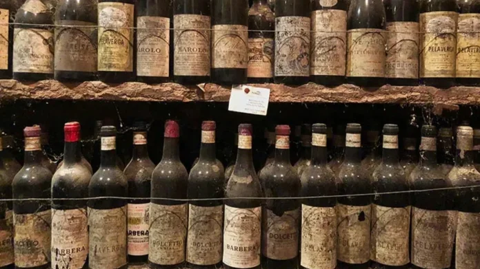 istoricheskie-podvali-barolo 4 исторических винодельни Бароло