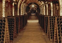 Бароло вино королей и король вин От Подвалов до Замка-Музея Бароло вино королей и король вин