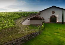 20 лучших винных курортов Пьемонта 20 лучших винных курортов Пьемонта