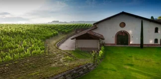 20 лучших винных курортов Пьемонта 20 лучших винных курортов Пьемонта