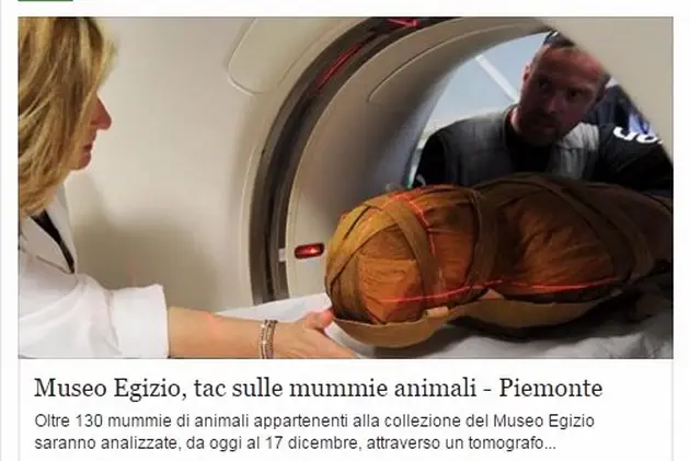 В Турине проводят томографический анализ мумий в египетском музее