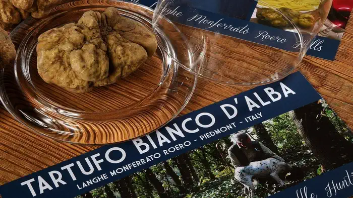 Пьемонт и рынок трюфелей в Италии Альба