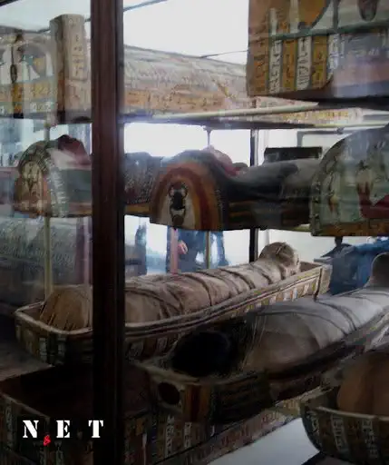 Мумии в египетском музее Турина