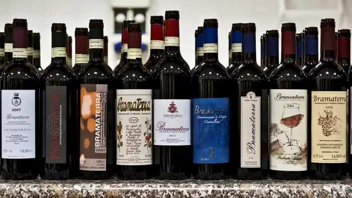 Земли итальянского вина Верчелли и Новара