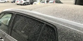 Сахарская пыль в Турине: автомобили покрыты красным песком Красный песок из Сахары в Турине: Причины и последствия