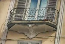 Дом летучих мышей в Турине: Оригинальный и Загадочный Дворец с «Крылатыми Стражами» Дом летучих мышей в Турине: Оригинальный и Загадочный Дворец с «Крылатыми Стражами»