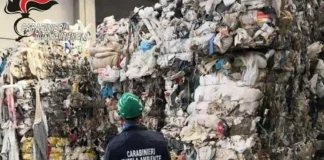 Взлет числа экомафии в 2023 году Экологические преступления в Италии Экологические преступления в Италии: Взлет числа экомафии в 2023 году