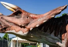 Июль 2024 в Турине Июль 2024 в Турине