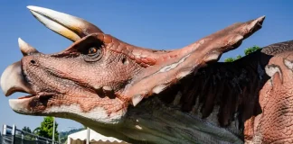 Июль 2024 в Турине Июль 2024 в Турине