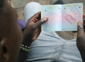 Итальянская миграционная политика: Проблемы и пути решения для иностранных рабочих