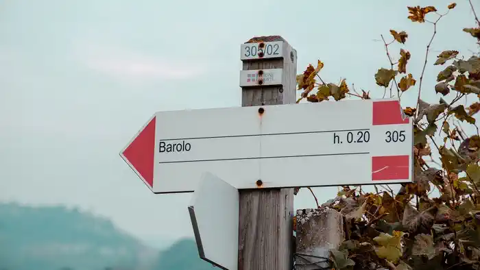 Дорога Бароло (Strada del Barolo) — маршрут «гран кру»
