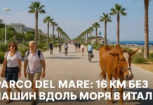 Самый длинный пешеходный променад Европы находится в Италии Вид на новую набережную в Римини с велосипедной дорожкой, зелёными зонами и морем на фоне. Parco del Mare самый длинный променад Европы.