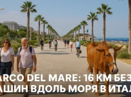 Вид на новую набережную в Римини с велосипедной дорожкой, зелёными зонами и морем на фоне. Parco del Mare самый длинный променад Европы.