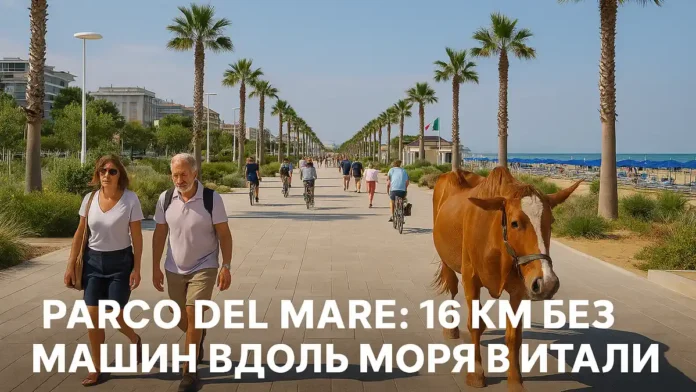 promenad-rimini-2025 Вид на новую набережную в Римини с велосипедной дорожкой, зелёными зонами и морем на фоне. Parco del Mare самый длинный променад Европы.