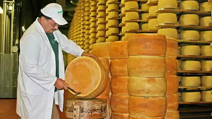 Пьемонт также известен своими сырами