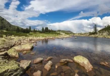 Отпуск в Oropa прогулка к озеру Lago delle Bose в Бьелле Фотореалистичное изображение горного озера Lago delle Bose с отражением сосен и альпийских склонов, солнечная погода, лёгкая дымка над водой, атмосфера отдыха и природы