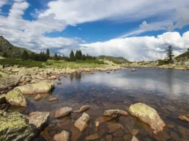 Фотореалистичное изображение горного озера Lago delle Bose с отражением сосен и альпийских склонов, солнечная погода, лёгкая дымка над водой, атмосфера отдыха и природы