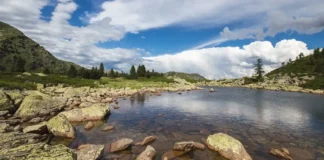 Отпуск в Oropa прогулка к озеру Lago delle Bose в Бьелле Фотореалистичное изображение горного озера Lago delle Bose с отражением сосен и альпийских склонов, солнечная погода, лёгкая дымка над водой, атмосфера отдыха и природы