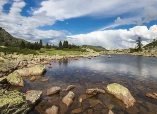 Отпуск в Oropa прогулка к озеру Lago delle Bose в Бьелле Фотореалистичное изображение горного озера Lago delle Bose с отражением сосен и альпийских склонов, солнечная погода, лёгкая дымка над водой, атмосфера отдыха и природы